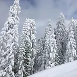 Schneckenhaus Dachstein West *