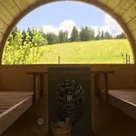 Schneckenhaus Dachstein West * Russbach am Pass Gschütt