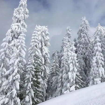 Schneckenhaus Dachstein West *