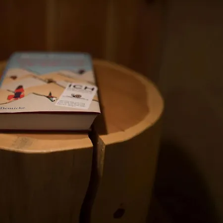 Lejlighed Schneckenhaus Dachstein West Russbach am Pass Gschütt