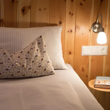 Schneckenhaus Dachstein West Rußbach am Paß Gschütt