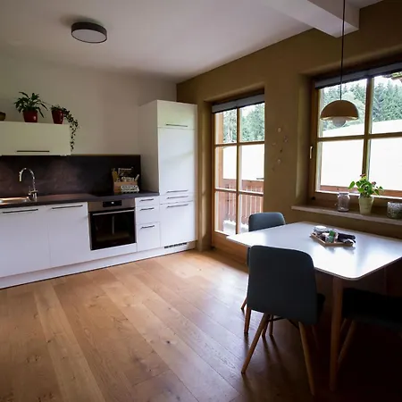 Schneckenhaus Dachstein West * 루스바흐 암 파스 그슈에트