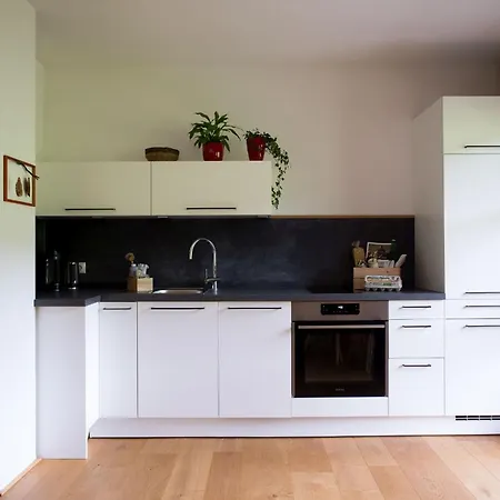 Schneckenhaus Dachstein West *