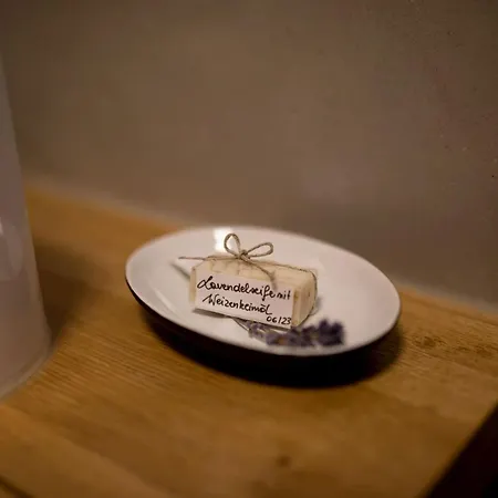 Lejlighed Schneckenhaus Dachstein West *