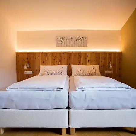 Schneckenhaus Dachstein West * Rußbach am Paß Gschütt