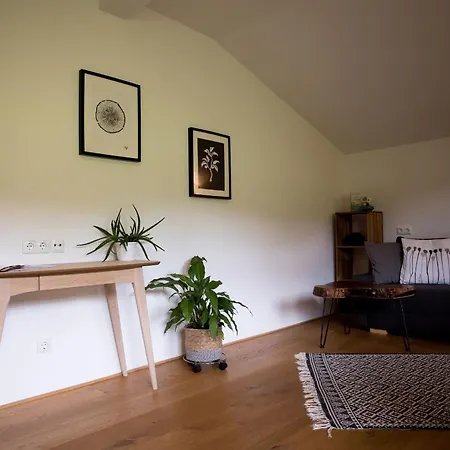 Lägenhet Schneckenhaus Dachstein West