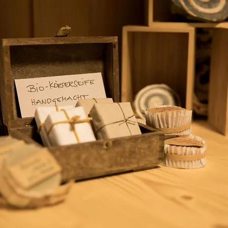 Schneckenhaus Dachstein West