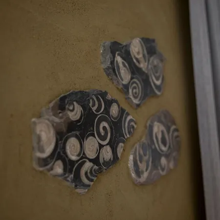 Lejlighed Schneckenhaus Dachstein West