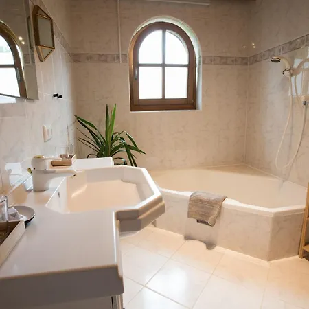 Schneckenhaus Dachstein West Rußbach am Paß Gschütt