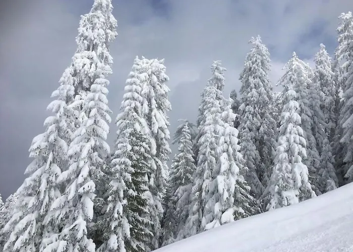 Schneckenhaus Dachstein West *